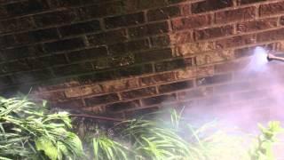 Mold Removal From Brick Chicago