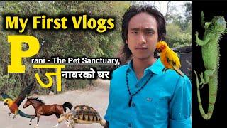 My First Vlog episode,1मेरो पहिलो बलग नेपाली , #nepalivlog #firstvlog ️ #नेपालीबलग,touching video,