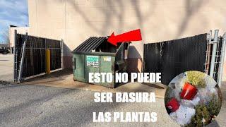 DUMPSTER DIVING ESTO NO Puede Ser BASURA LAS PLANTAS 🪴 #dumpsterdiving #loquetiranenusa