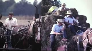 Mennohof - The Amish & Mennonite Story (Part 1)