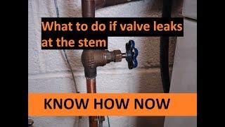 Fix Shut Off Valve Leaking at Stem