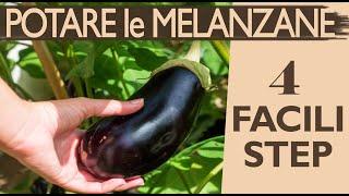 POTARE LE MELANZANE | GUIDA PRATICA in 4 FACILI STEP