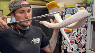 Disaster in the VENOMOUS SNAKE BUILDING 