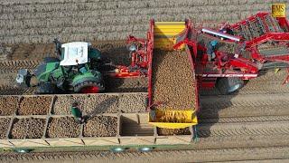 Kartoffelernte in Niedersachsen - Einblick in den Betriebsablauf Potato harvest in Germany 4K farmer