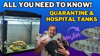 How to quarantine fish! The DOS & DON'TS of Hospital tank setup, medications and more!