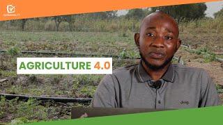 Mali: Agriculture 4.0