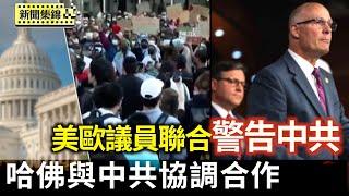 與中共合作並縱容暴力 哈佛被禁招國際學生｜美歐議員發聯合聲明 警告中共分化民主國家【亞太新聞片段】2025-05-24