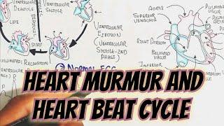 Heart MurMur And Heart Beat Cycle Pathophysiology @umerfarooqbiology7083