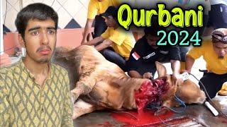 Bakra Eid Vlog 2024 ️‍ Cow Qurbani Alhumdulillah ️