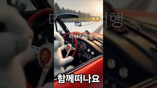 토끼운전사#눈길운전토끼#재주꾼토끼#당당허니tv