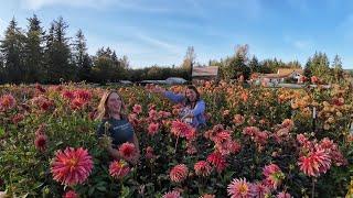 She Quit The Corporate World  to Become A Flower Farmer! Now She Has The Most Romantic Flower Farm 