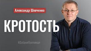 Кротость. Пастор Александр Шевченко │ Проповеди христианские