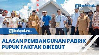 Alasan Pembangunan Pabrik Pupuk Fakfak Papua Barat Dikebut