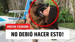 POR ESTO NUNCA deberías ABRAZAR a tu PERRO! ️