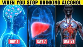 What Happens When You Stop Drinking Alcohol | Stop Drinking Alcohol For 30 Days