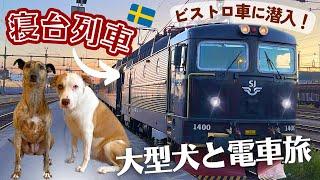 【白夜と絶景】愛犬と12時間の列車旅に感動回