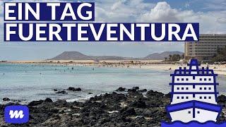 Ein Tag auf Fuerteventura auf eigene Faust - Kanaren-Kreuzfahrt Vlog #2