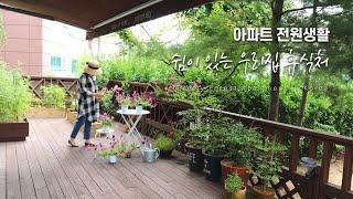 SUB) [텃밭vlog] 개인 앞마당이 있는 33평 1층 아파트 / 아파트 전원생활 / 엉망진창 텃밭 이야기