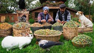 Harvesting and Baking with Fresh Almonds: A Village Tradition