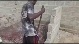 Porcherie a Kinshasa agriculture #kinshasa #piggfarming #entrepreneur #drc October 2023