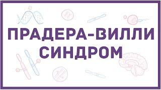 Синдром Прадера-Вилли - механизм развития, причины, клинические проявления