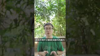 为什么我们不推荐泰国国际学校短期插班游学夏令营