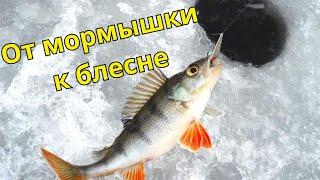 От мормышки к блесне