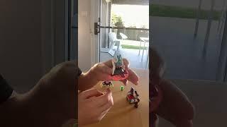 Pollybag review