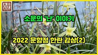 소운의 '난' 이야기 - 2022 문향정 한란감상 2편