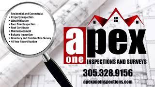 Apex One Inspections and Surveys Mini Commercial