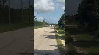 Raptor 700 vs Honda Grom