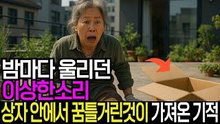밤마다 울리던 이상한 소리, 상자 안에서 꿈틀거린 것이 가져온 기적 감동실화 사연 오디오북