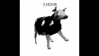 【1 HOUR of POLISH COW】 → 1 Hour Videos