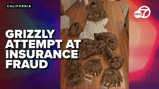 California men use bear costume to pull off bizarre insurance fraud plot