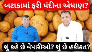 બટાકામાં ફરી મંદીના એધાણ? શું કહે છે વેપારીઓ? શું છે હકીકત?