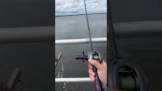 Catching Fish in Saltwater is SO EASY!