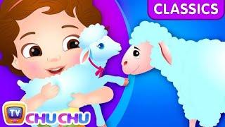 Mary Had a Little Lamb | Rhymes Eleven | Best Nursery Rhyme for Kids & Toddlers