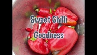 Sweet Chilli Goodness