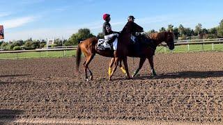 2024 Prince of Wales Stakes post parade