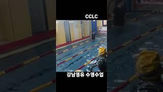 강남영유 CCLC 수영수업