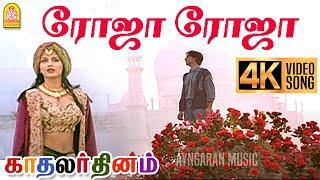 Roja Roja - 4K Video Song | ரோஜா ரோஜா | Kadhalar Dhinam | A.R. Rahman | Kunal | Sonali Bendre