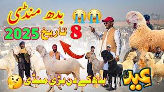 Pakistan 2025 Badi Mandi  vyapari pareshan  latest Bakra Mandi video  Rul Gai Mandi