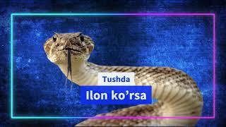 Tushda Ilon ko’rsa nima bo’ladi - Тушда илон куриш