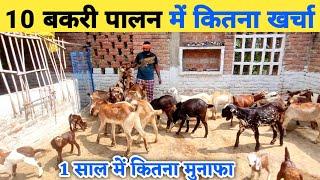 10 बकरी पालन करने में कितना खर्च आएगा | 10 bakri palan mein kitna kharcha aayega