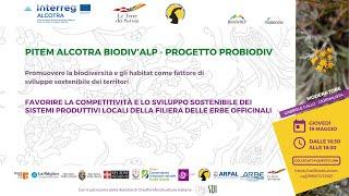 WEBINAR 19 maggio 2022