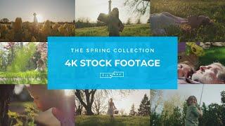 Footage Of Spring Romance | FILMPAC Royalty Free 4k Stock