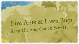 Official Pest Control Davis CA 916-226-4836 Bed Bugs Fleas Ticks