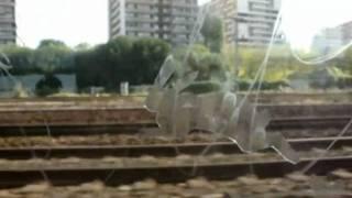Rabbit Journey