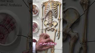 افزایش قد به چه قیمتی؟؟