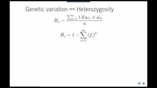 Minimum viable population size and heterozygosity